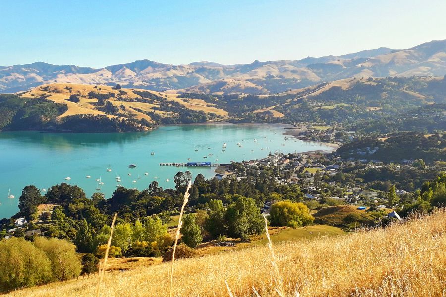 Akaroa - Copyright Pohatu Penguins 2024